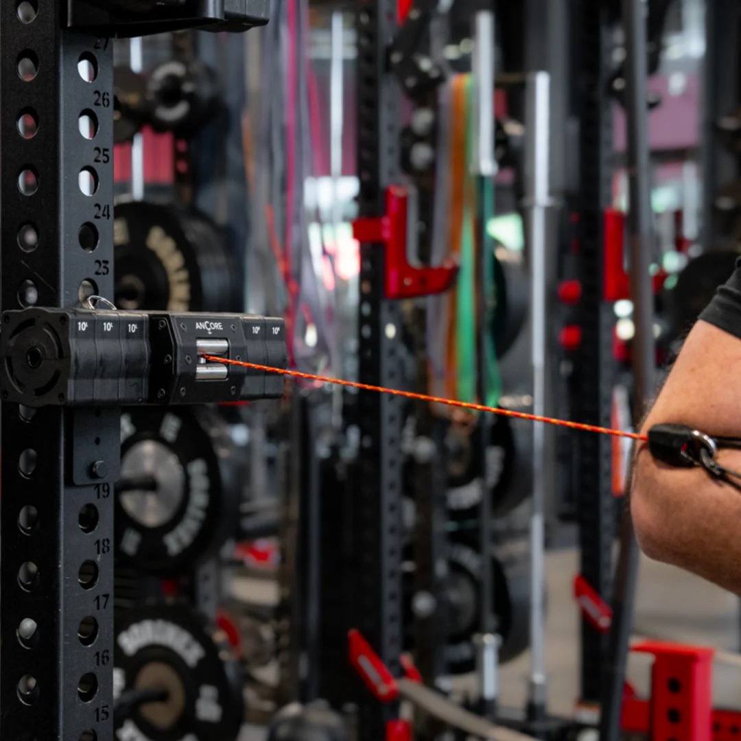 ANCORE×Data Plate：ケーブルマシントレーニング / エスアンドシー株式