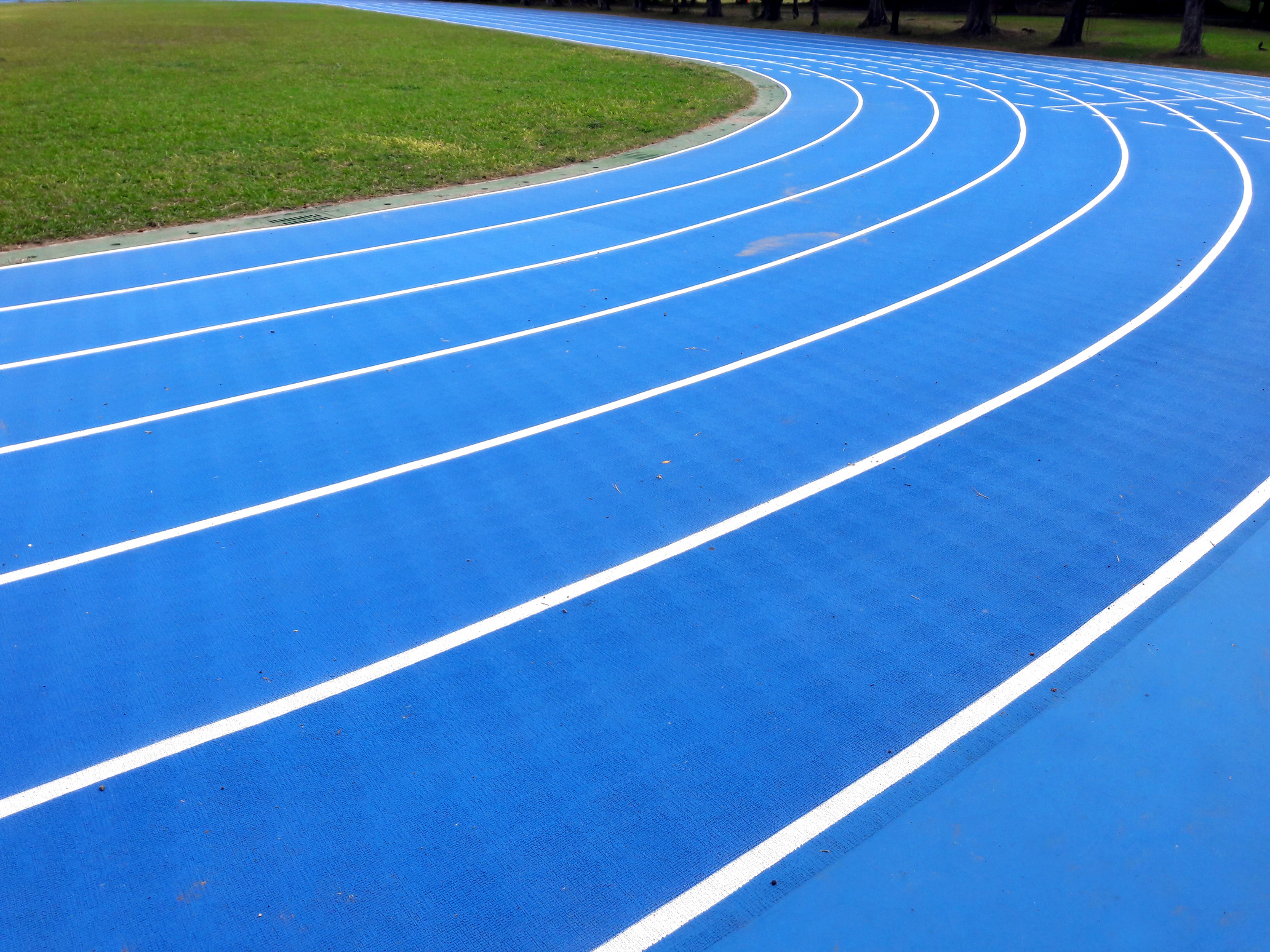 Stadium track or track for athletes. Tracks are rubber man-made tracks used in athletics.